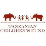 tanzanian children's fund jobs.