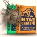 ajira Lake Cement Limited.
