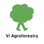 ajira Vi Agroforestry